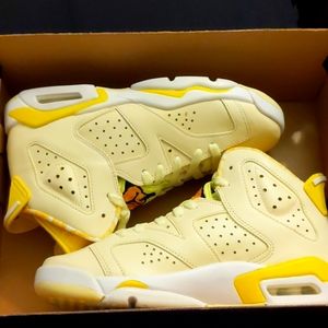 Air Jordan 6 Retro
